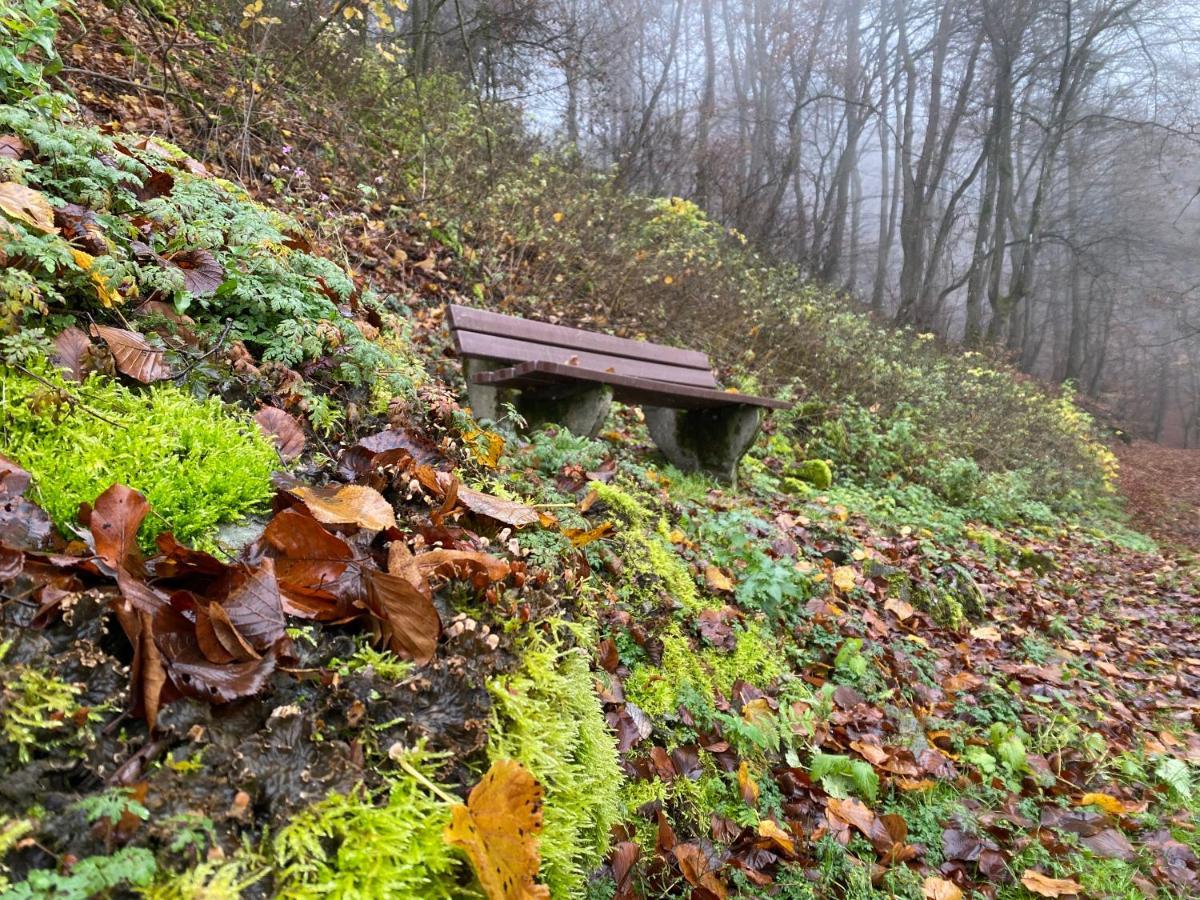 Waldlaeufer Brilon Apartment Bagian luar foto